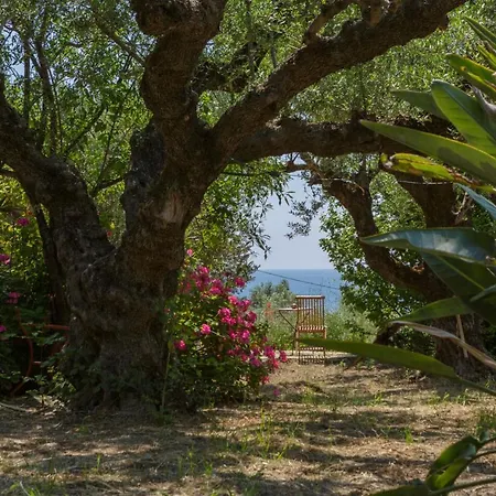Anta House By The Sea Villa Lithakia (Zakynthos)