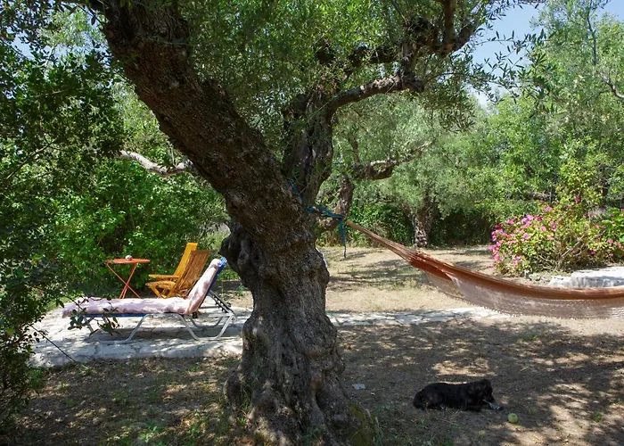 Anta House By The Sea *