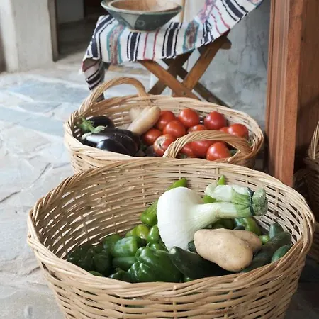 Anta House By The Sea *