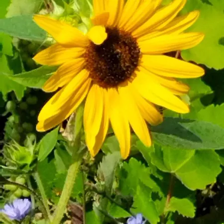 Anta House By The Sea * Lithakia