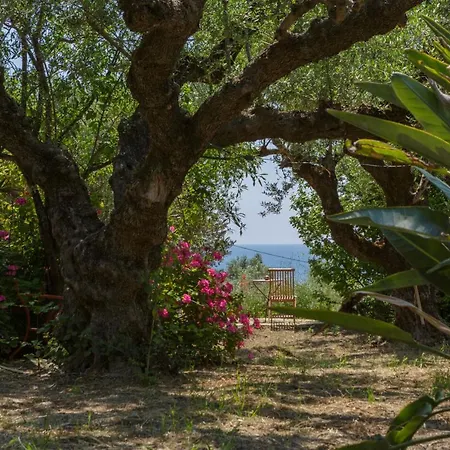 Anta House By The Sea ヴィラ Lithakia