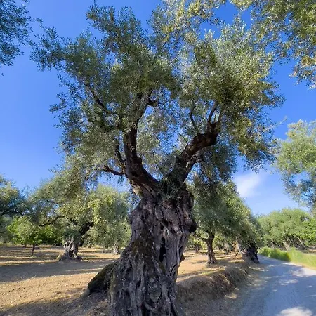 Anta House By The Sea Lithakia