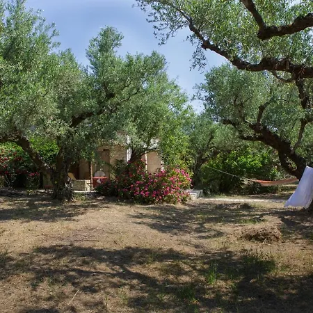 Anta House By The Sea *