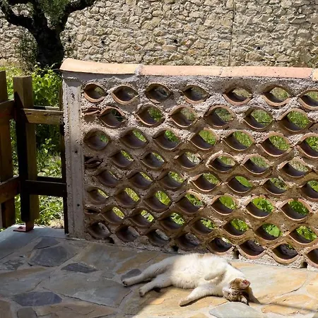 Anta House By The Sea Lithakia