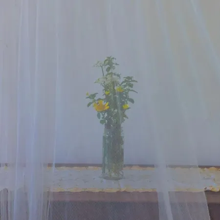 ヴィラ Anta House By The Sea Lithakia