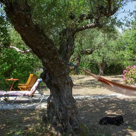 Anta House By The Sea *