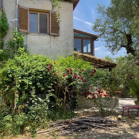 Anta House By The Sea *