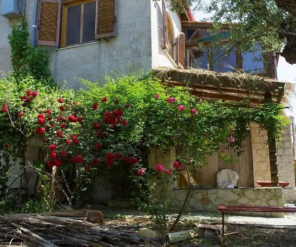 Anta House By The Sea Vila Lithakia (Zakynthos)